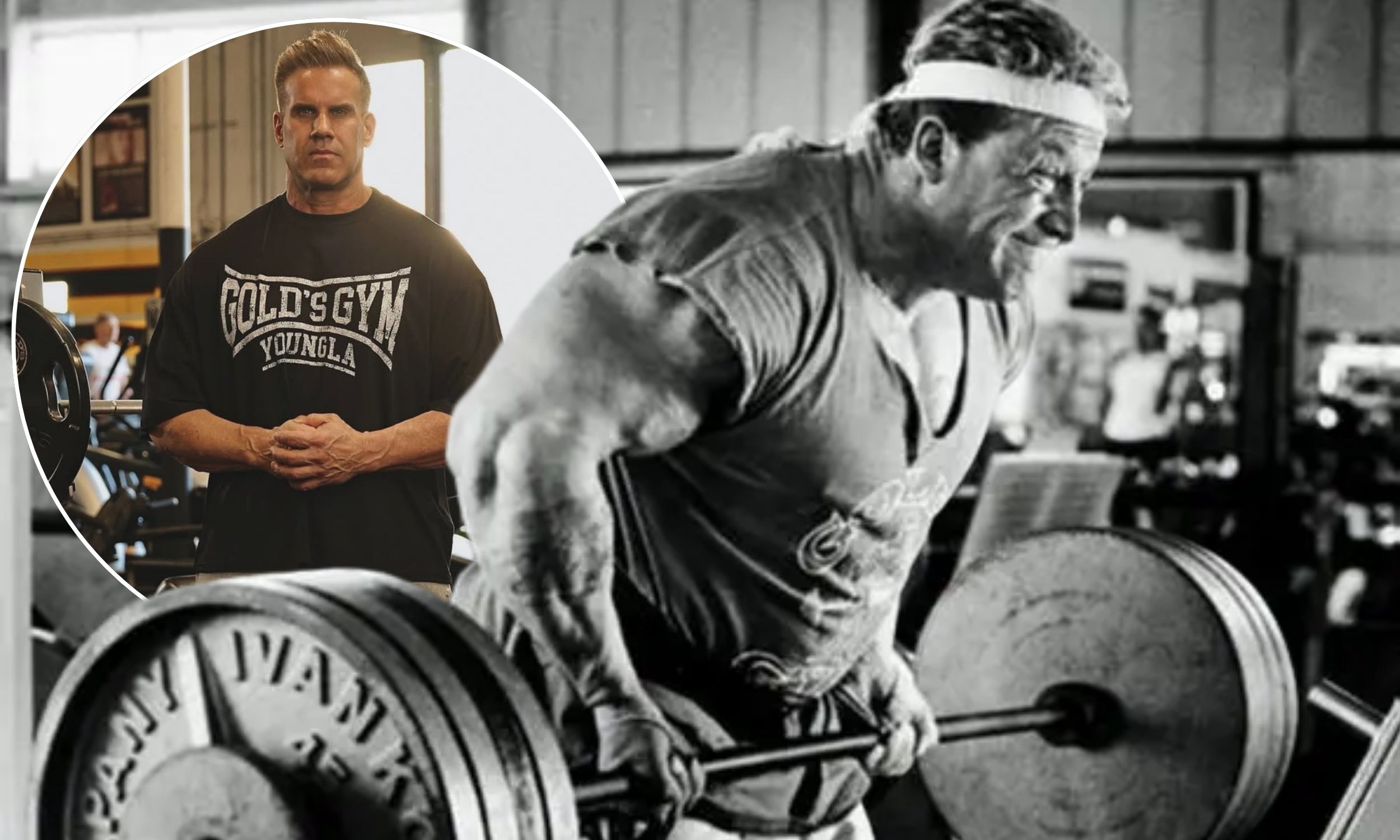 jay cutler